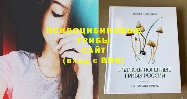 мяу мяу кристалл Дмитров