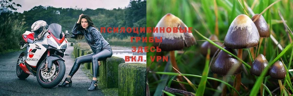 мяу мяу кристалл Дмитров