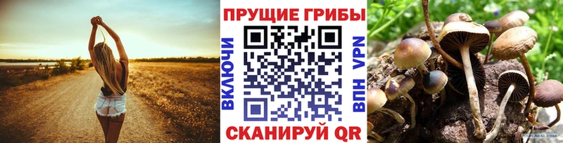 MEGA ТОР  Заполярный  Галлюциногенные грибы GOLDEN TEACHER 